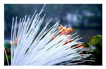 royal皇家88·(中国区) - 官方网站