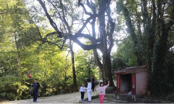 royal皇家88·(中国区) - 官方网站