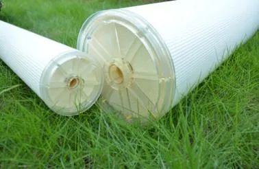 royal皇家88·(中国区) - 官方网站