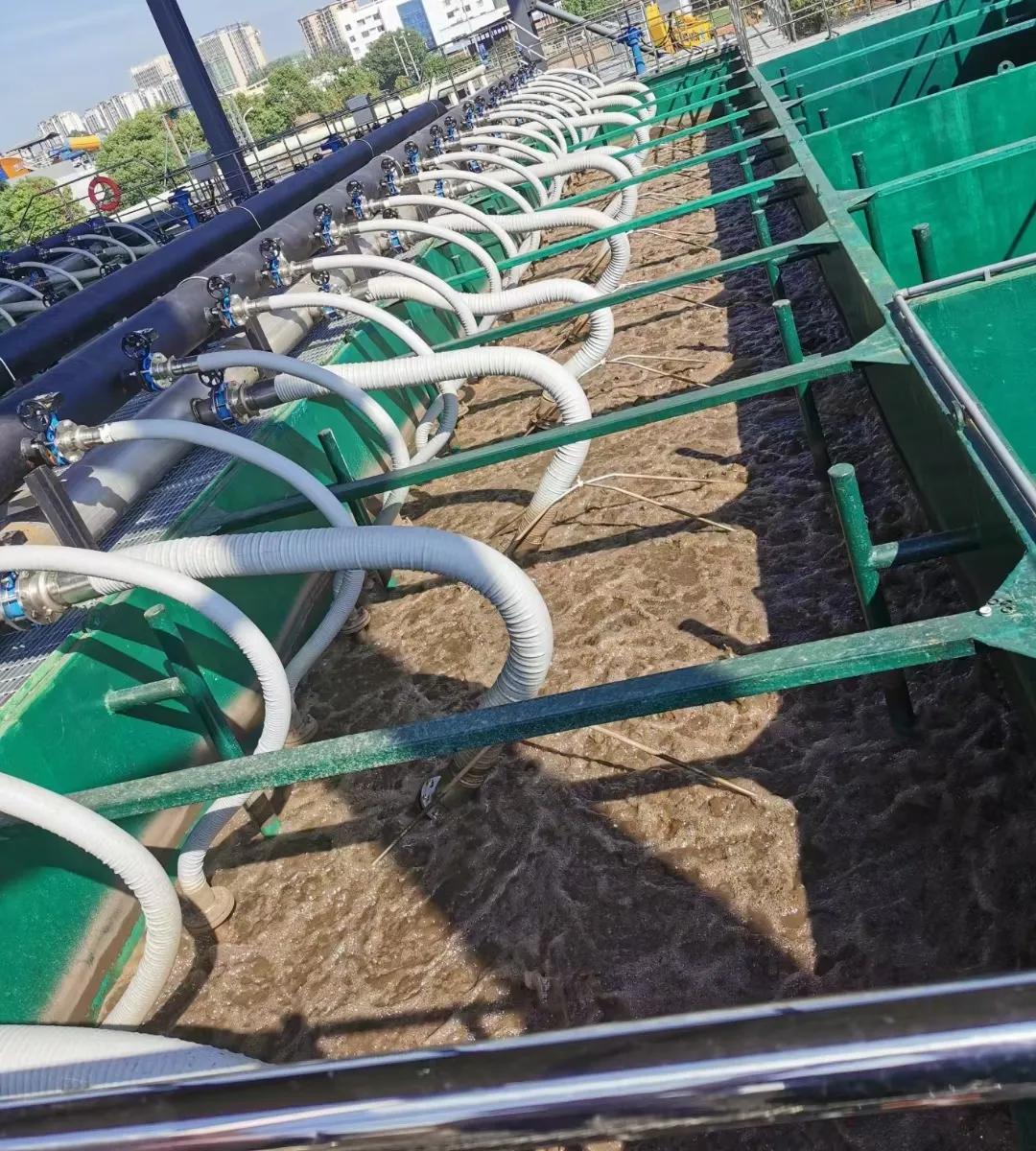 royal皇家88·(中国区) - 官方网站