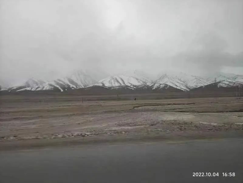 royal皇家88·(中国区) - 官方网站